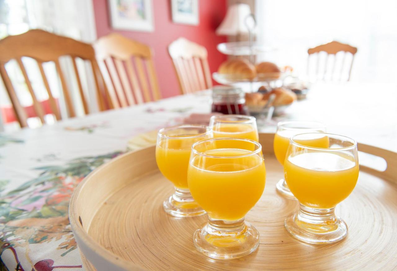 Bed & Cafe Petit Papillon Bed and Breakfast Grandes-Bergeronnes Buitenkant foto