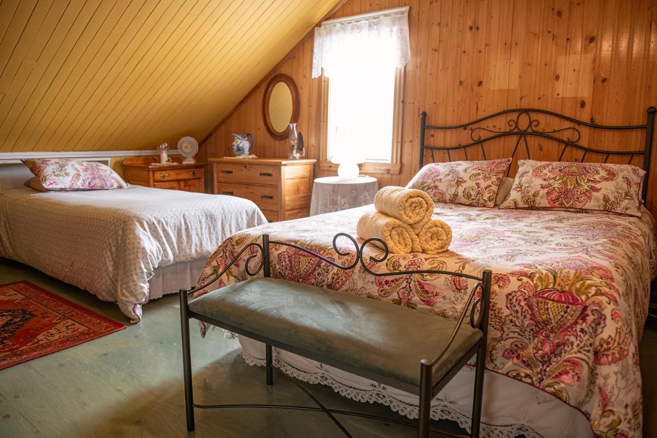 Bed & Cafe Petit Papillon Bed and Breakfast Grandes-Bergeronnes Buitenkant foto